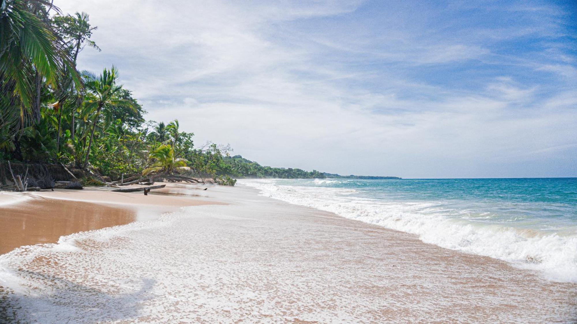Bocas Garden Lodges Bocas Town Ngoại thất bức ảnh