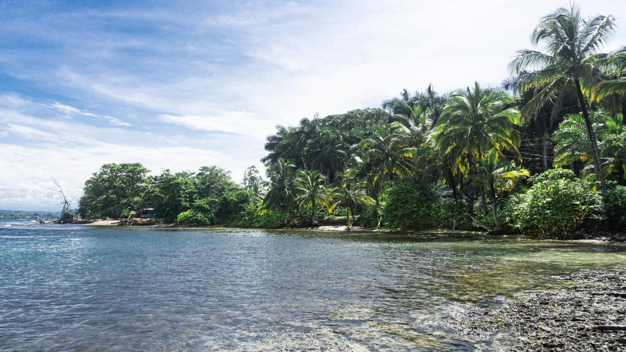 Bocas Garden Lodges Bocas Town Ngoại thất bức ảnh